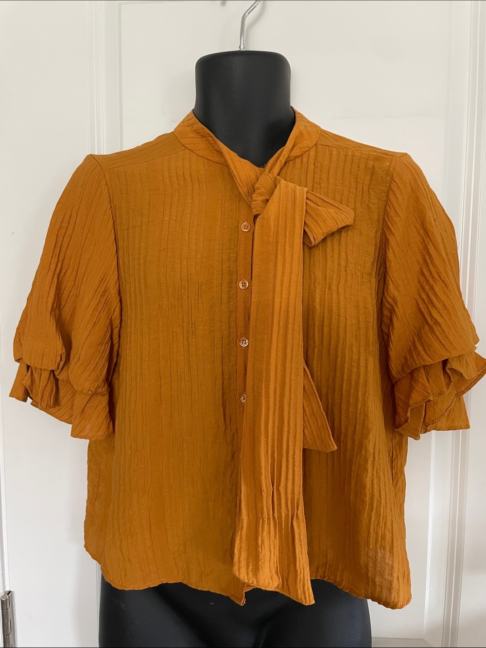 Zara Rust Orange Blouse